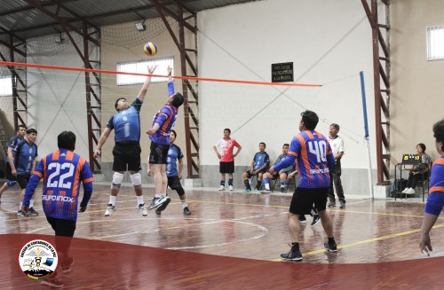 VOLEYVA_0010_11